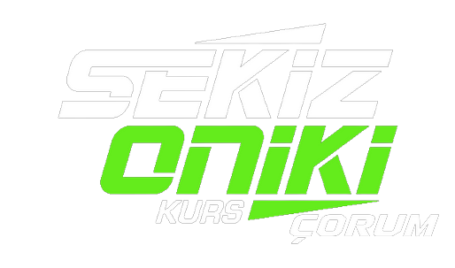 SekizOniki